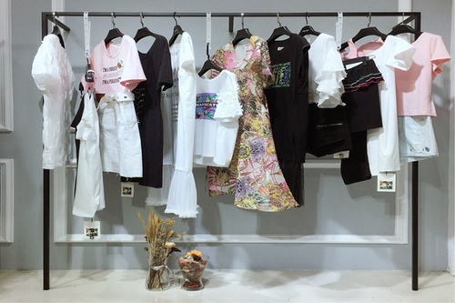 品牌女裝連衣衫裙大連大碼女胖mm新款連衣裙女裝批發(fā)市場哪里好